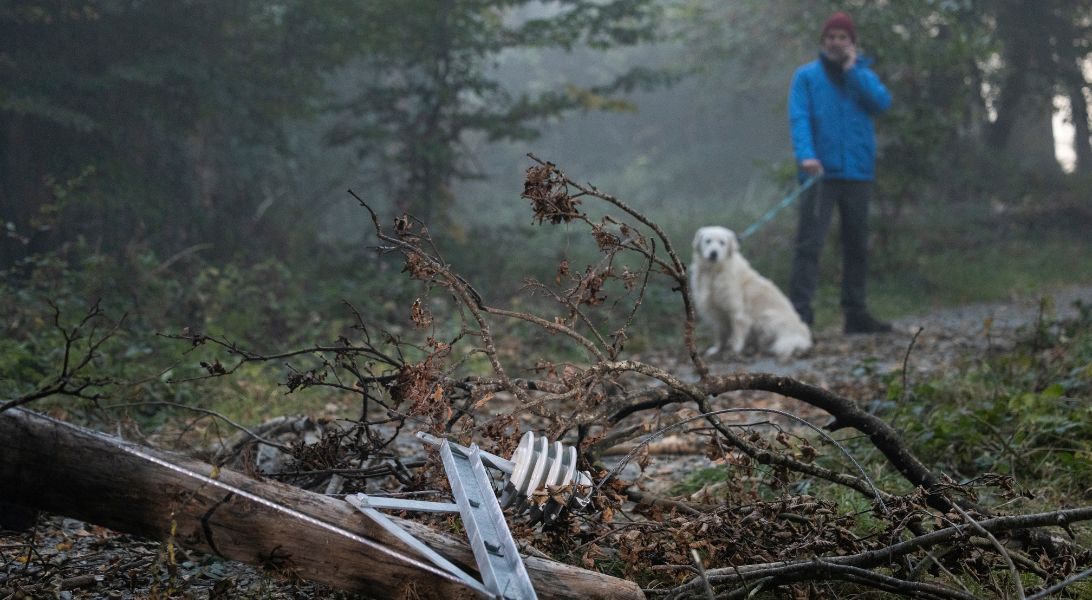 Man with dog talking on phone in front of fallen wires