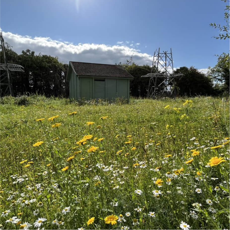 House on a field