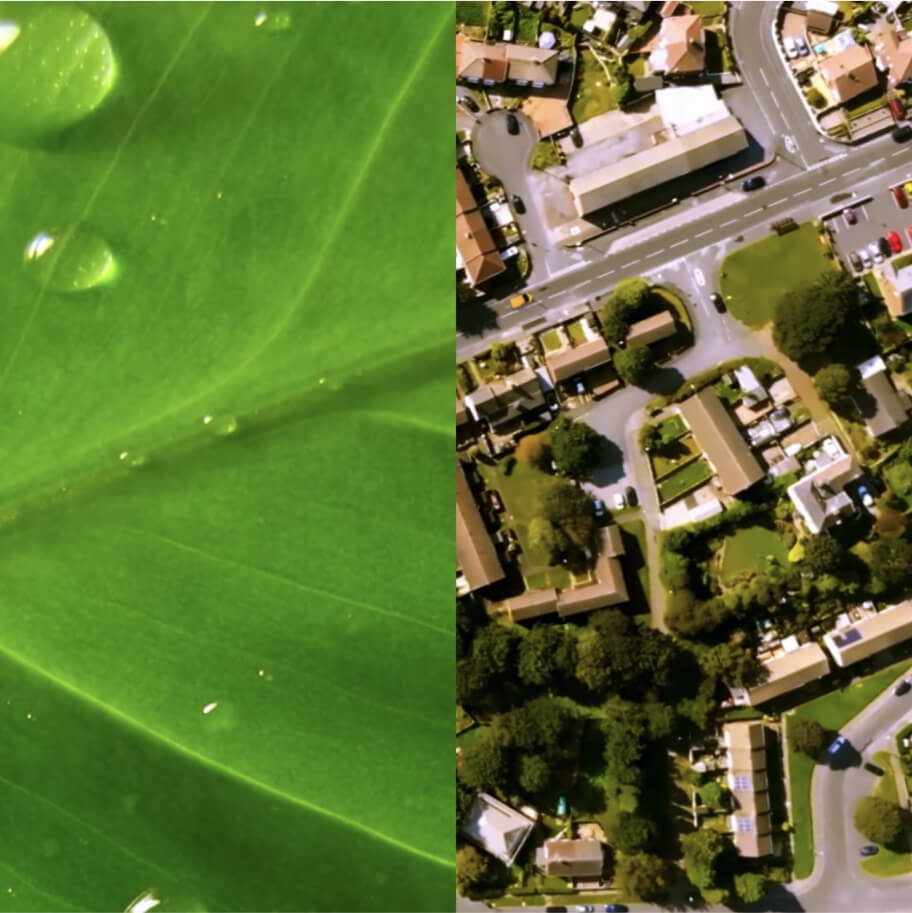 Nature versus city