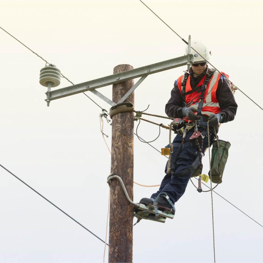 Technician on a pole