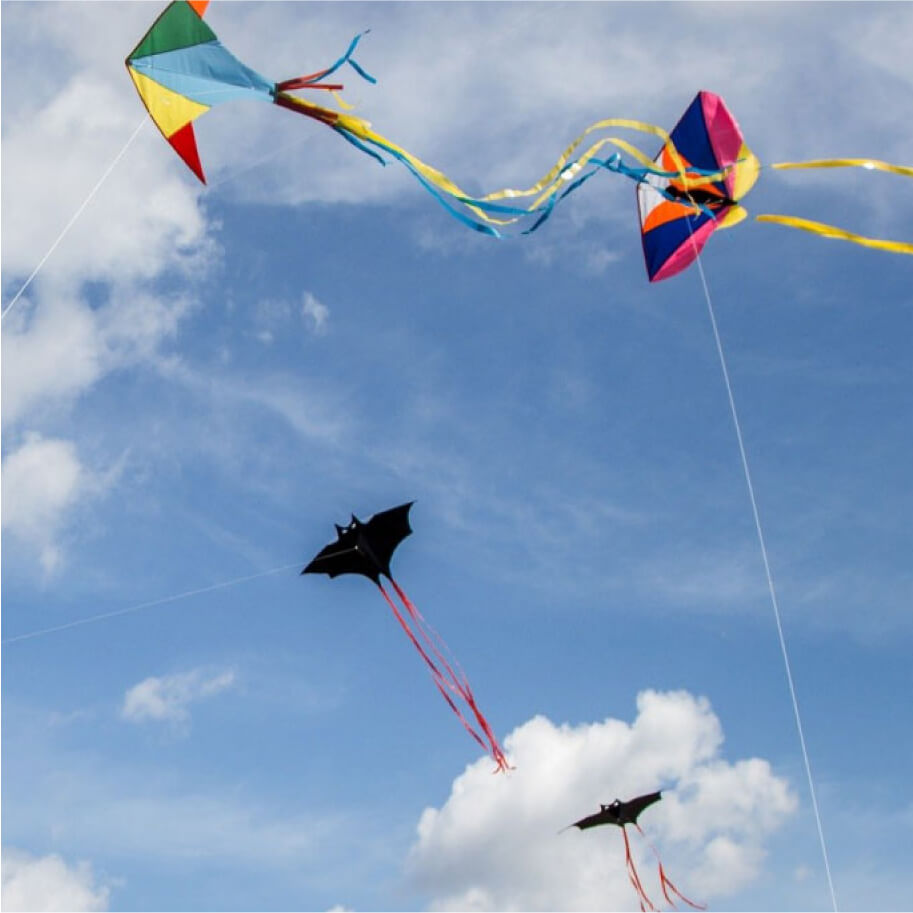 Kites in the sky